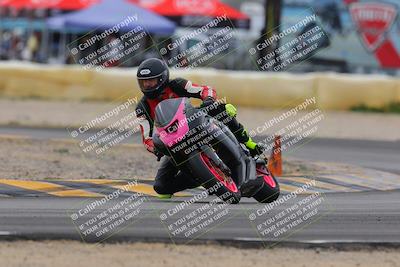 media/Jan-15-2023-SoCal Trackdays (Sun) [[c1237a034a]]/Turn 2 Set 1 (1145am)/